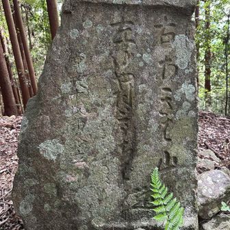 分岐道標、