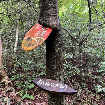 「火気注意」の看板が木に咥えられています。