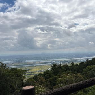 何とか名古屋のビル群は見える