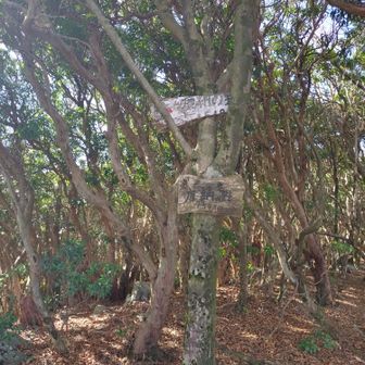 鹿納の野🙌🏻思ってたより狭かった⛺️