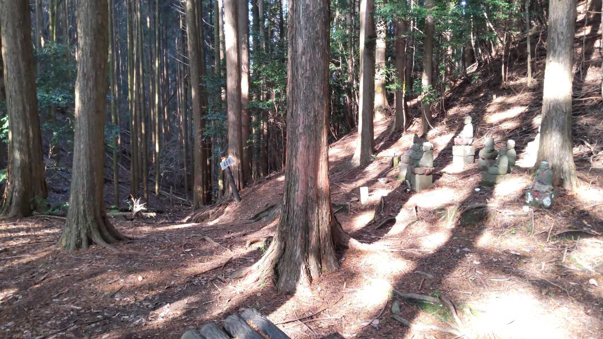 男道で登るつもりが分岐を過ぎてた。