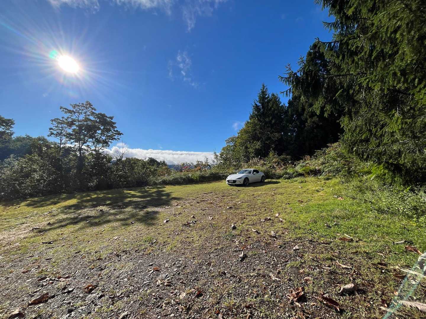 ひるがの高原の登山口からスタート⛰️