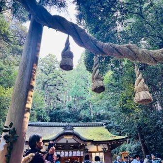 狭井神社
こちらで登拝の受付をします