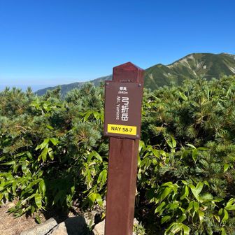 弓折岳山頂