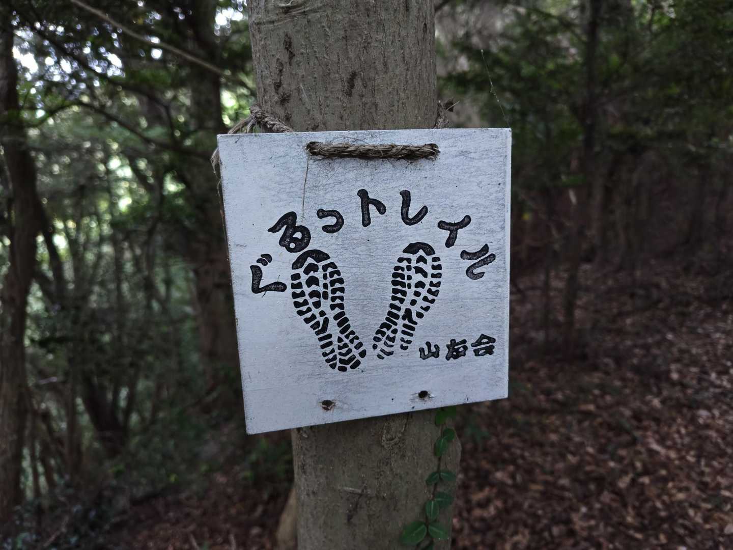 三ヶ根山登山口-三ヶ根観音-比島観音 往復コースの写真