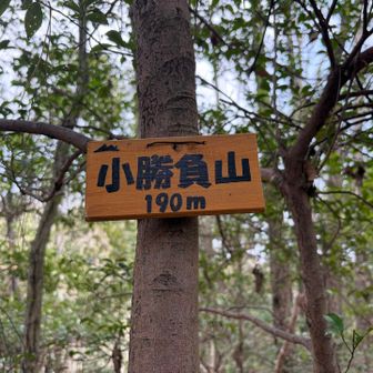 なんとか4座目に到着！　
小勝負山　190m⛰️
この道で合ってて良かった！