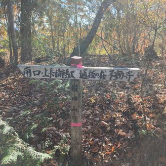 権田山頂上🏔´-