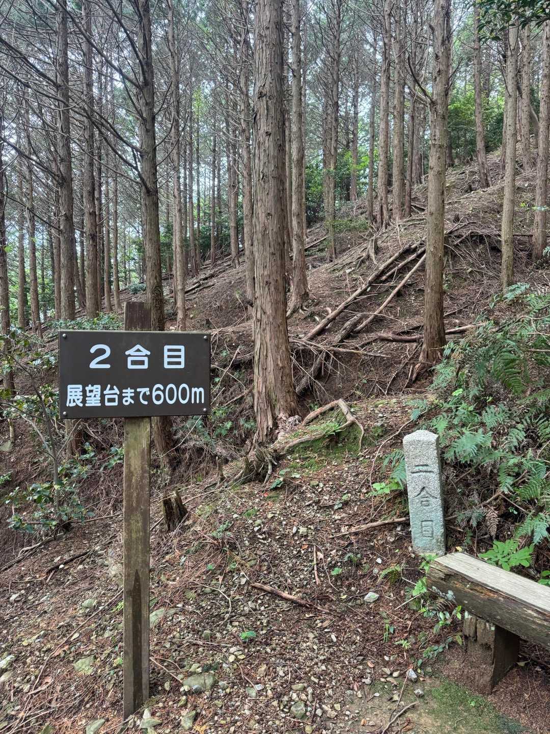 石津御獄登山口-石津御嶽-パラグライダー発射台-美濃松山 往復コースの写真