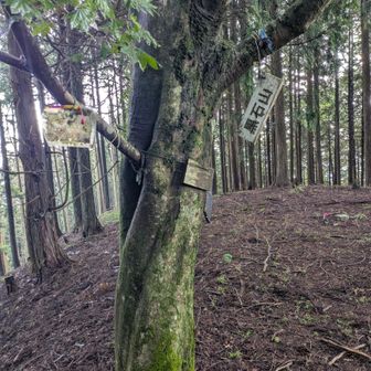 黒石山ピーク⛰
ななめってますw