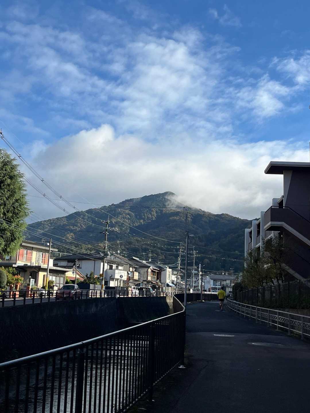 予報は曇りでしたが青空が見えます☀️
良かったねーと歩いていました🚶‍♀️