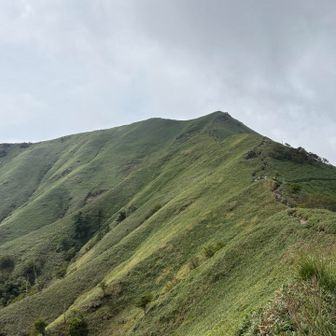 美しい🤩