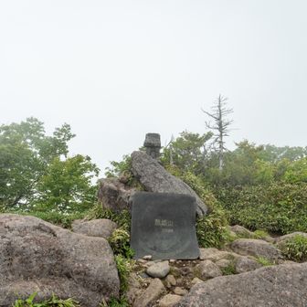 ほぼガス