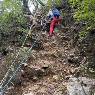 妙義山から西場富士まで行くことにしました⛰️
ロープ道を降ります🪢