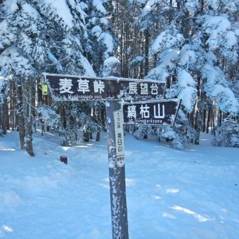 茶臼山
多分に漏れず眺望なし
けど冬は風がしのげて休憩適地