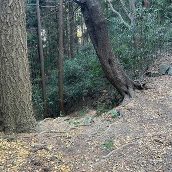 神社跡の広場から沢道へ下ります。