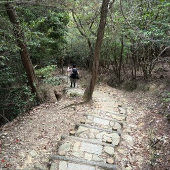 下りになってから感じる、いかに急斜面であったか…。
これは登山口からすぐの階段ゾーンですよ🦵