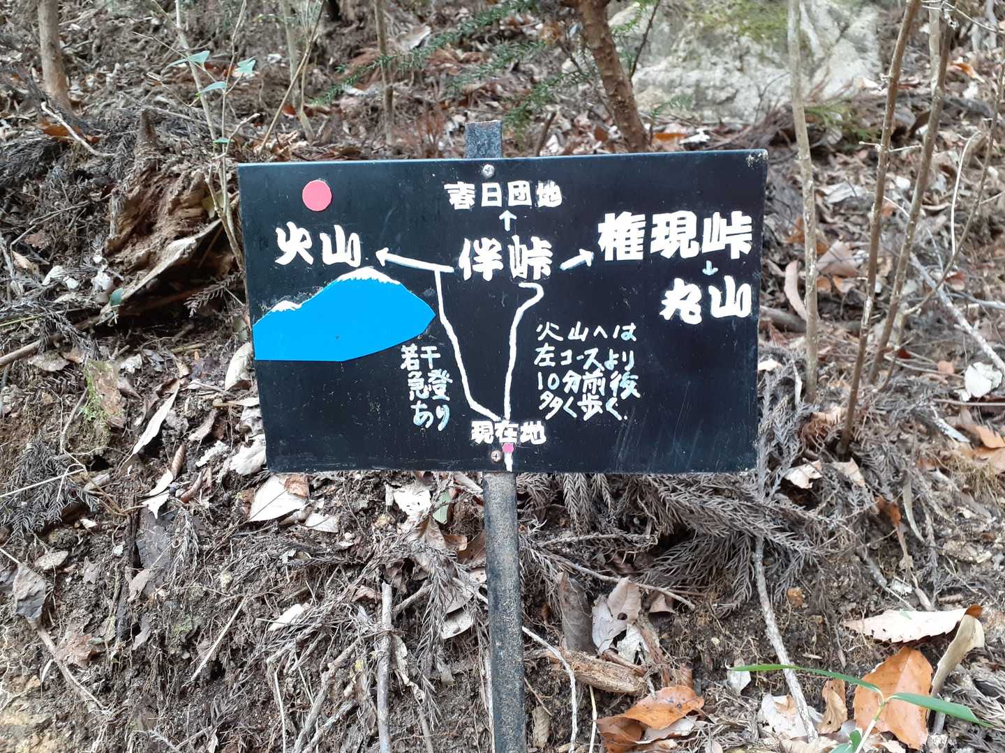 どっちに行く？
急登はやめとこ(笑)直進⬆️