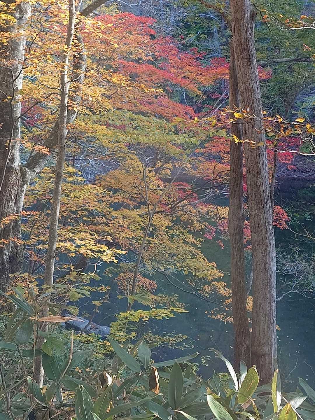 長沼