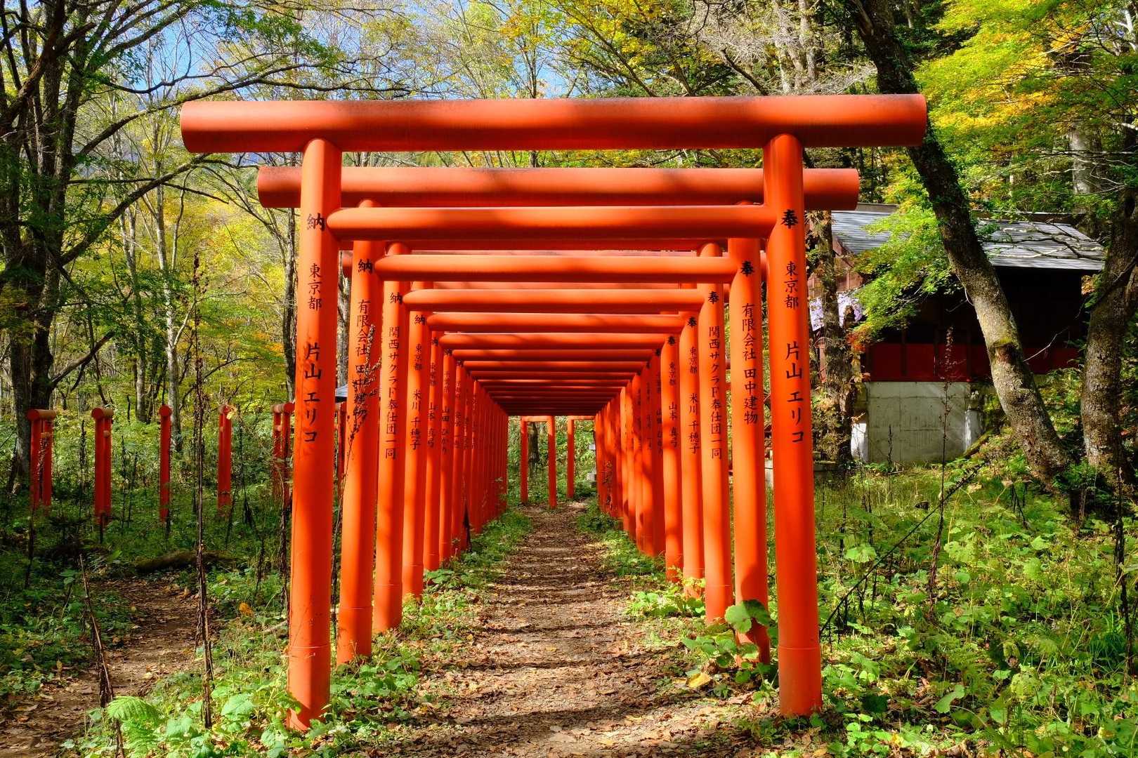 鳥居⛩️