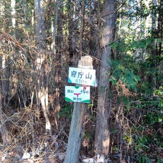 なんだかんだで府庁山！疲れた！