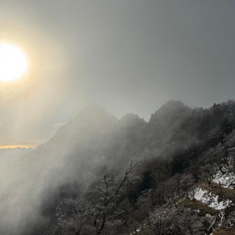 尾鷲方向の海面に太陽が反射してます