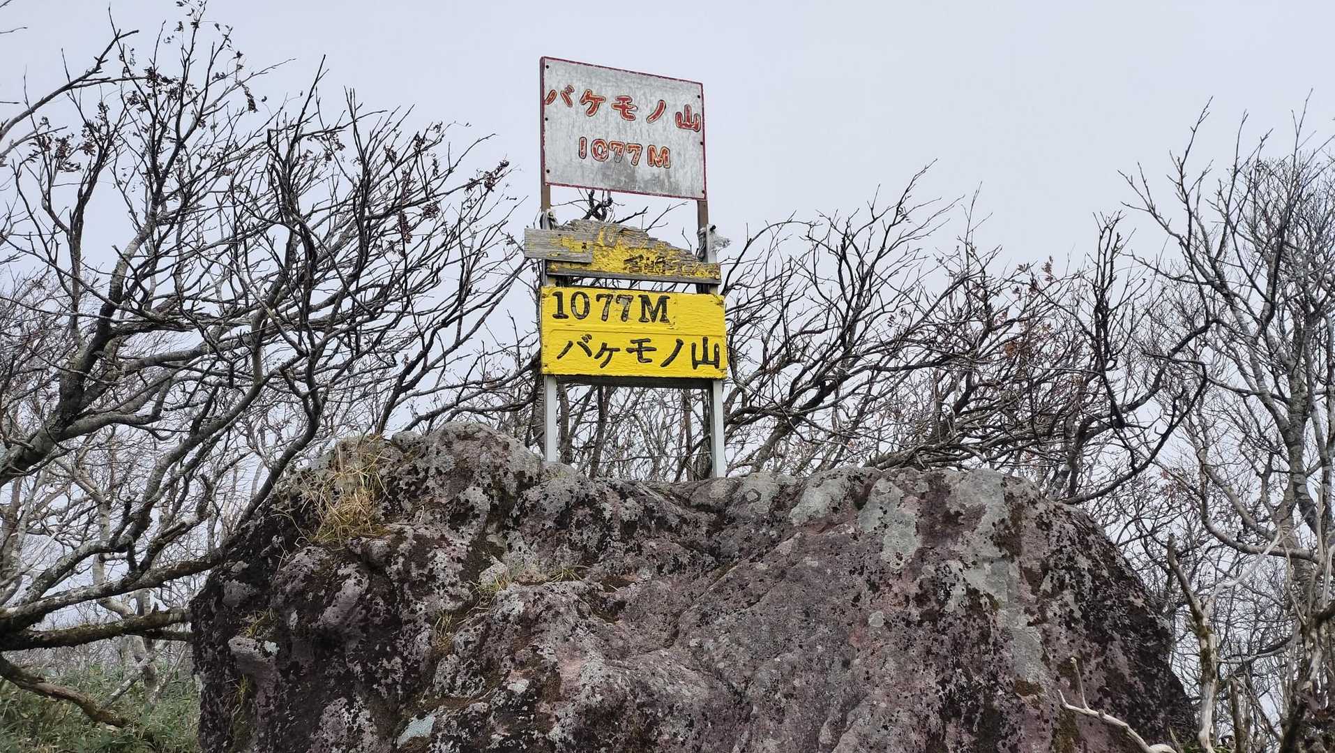 化物山に無事到着。調べてみるとお化けとは関係なく、和人がアイヌ語を聞き間違えてバケモノになったらしい