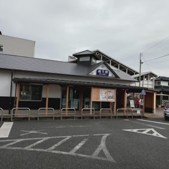 越生駅でゴールです、お疲れ様でした。
駅へ向かう道中時刻表を確認すると、頑張れば11:57発の列車に間に合いそうだったので、途中から激走りしてなんとか3分前に到着。あぁしんど笑　でも間に合って良かった…次は13:14発だからね。ギリギリアウトだけは勘弁！笑