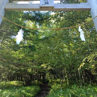 七合目登山口には蓼科神社の大きな鳥居（一の鳥居）があるので目印となる🙏