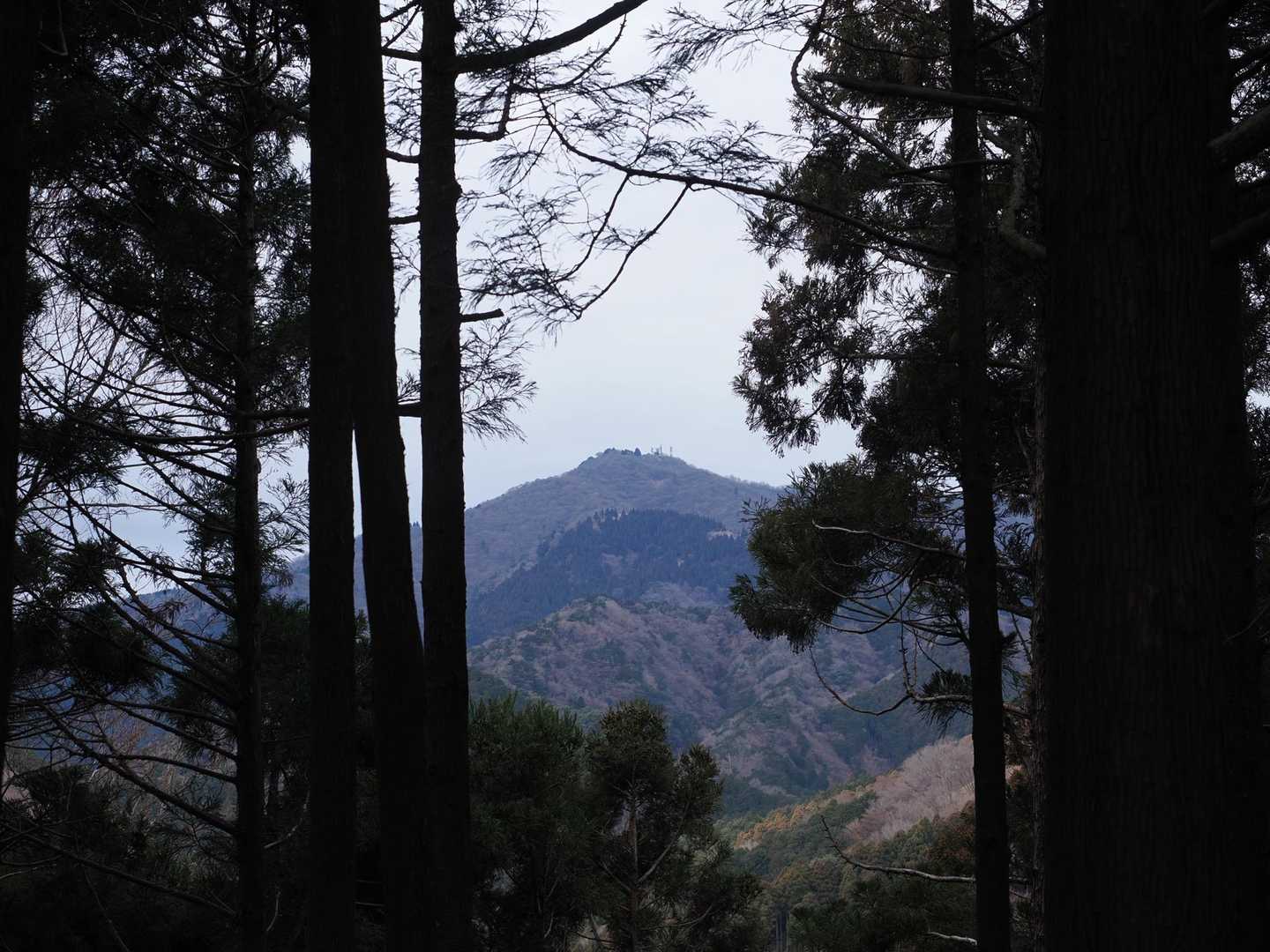大山さんが見えた❣️
