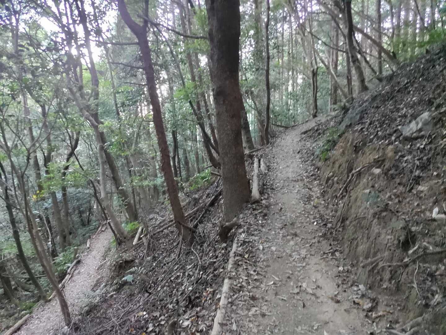 途中、風がかなり弱くなったところもあった。
でも、このあとに一息峠が近づくと気持ちのいい風が吹いてくれた