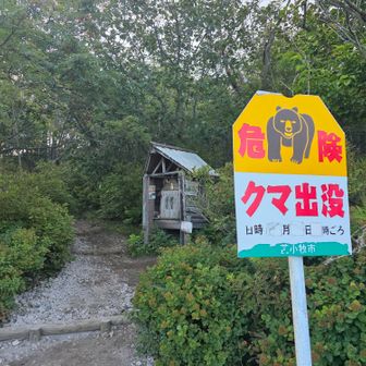 今日もよろしくお願いします🙇‍♀️✨️
