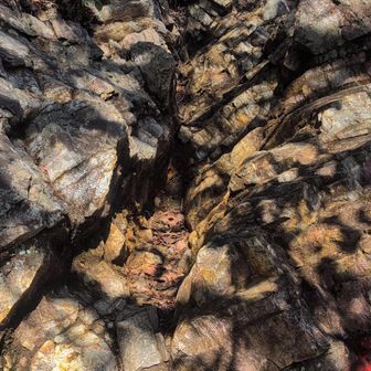 こちらから登るの久し振りだ