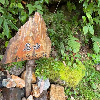 渡渉ポイントの名水
