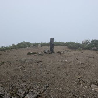 着いた〜
けど景色は真っ白。
山標識も格の違いを感じさせる小朝日