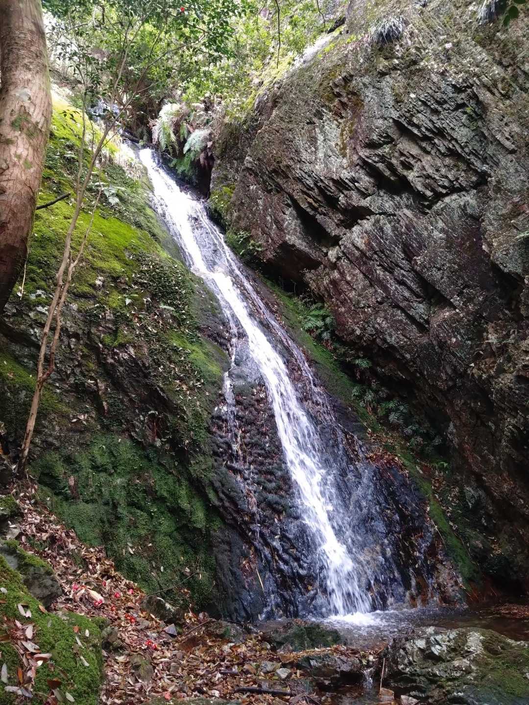 大滝