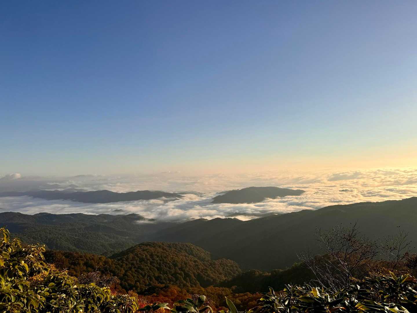 雲海〜