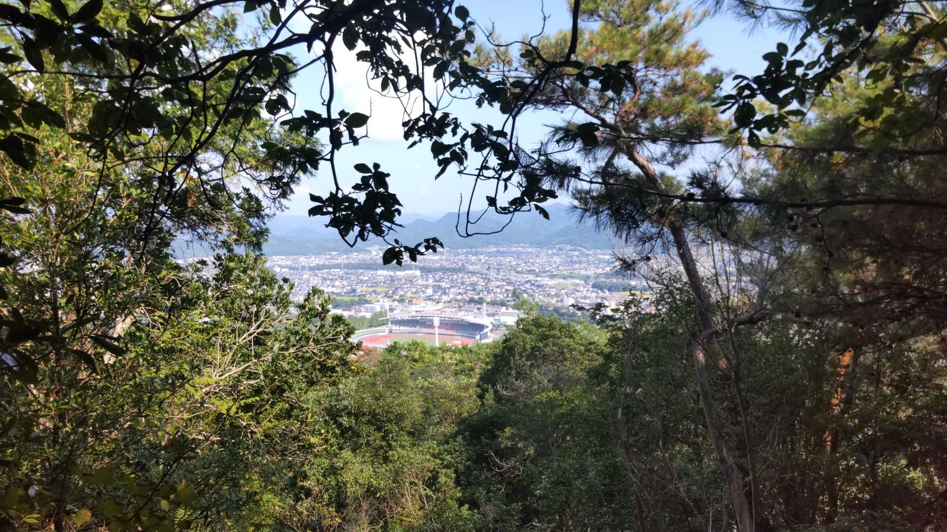 金山 往復コースの写真