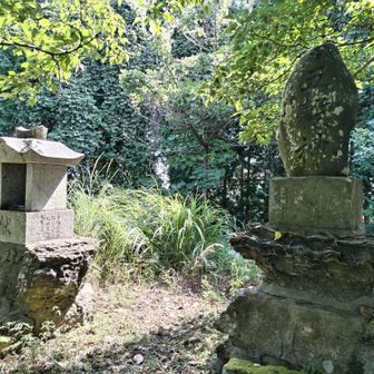 鬢鏡山