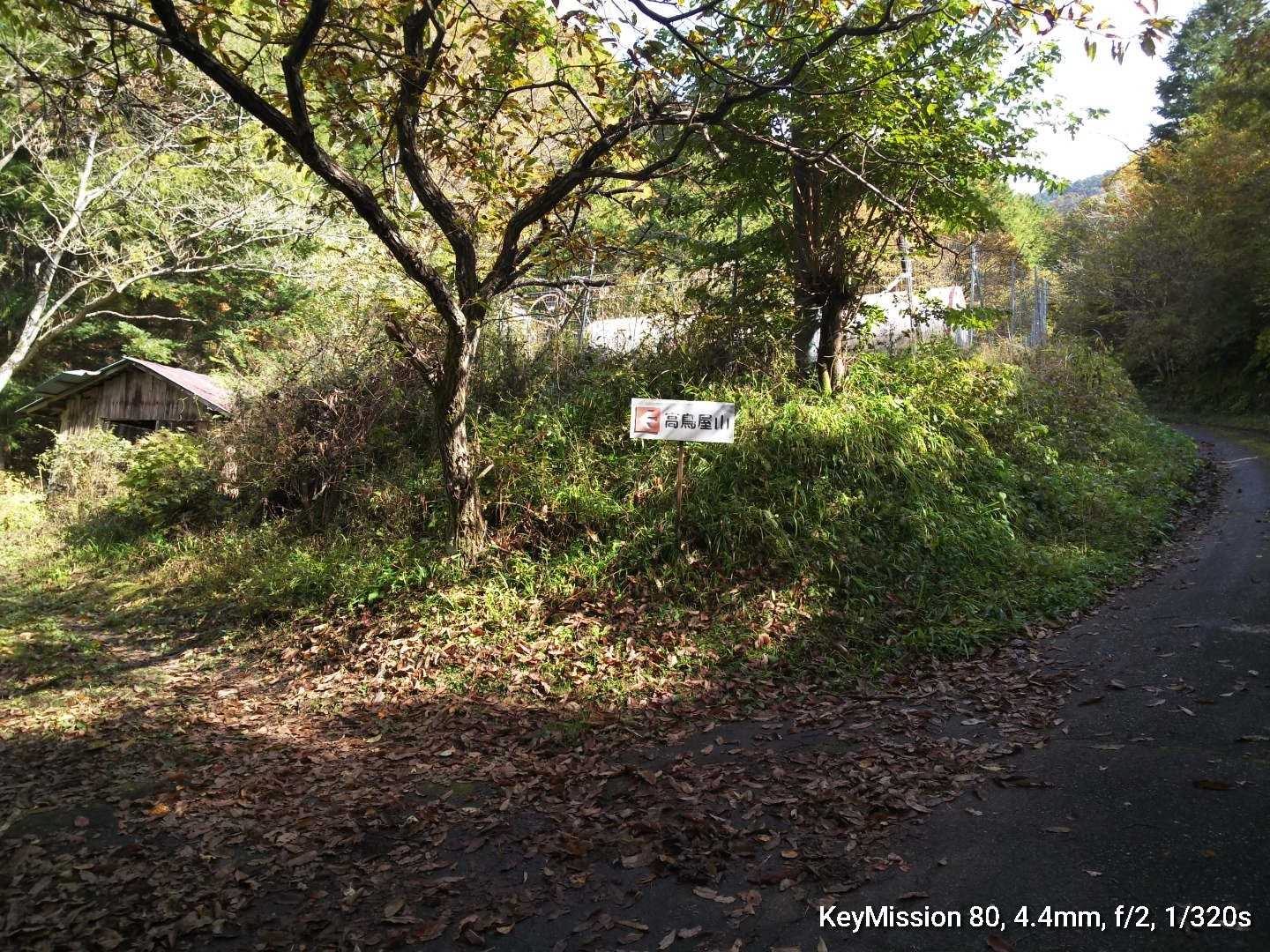 ココからお山に入ります🚶