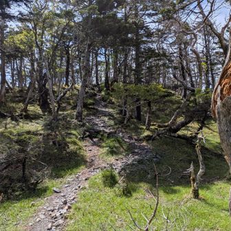 希望峰山頂手前。ここの登りも中々。