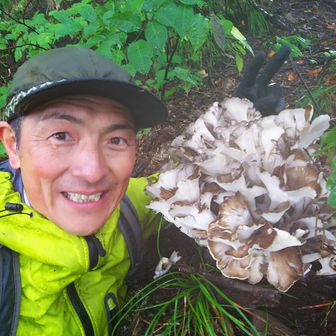 やっさん(泰山)の白山情報