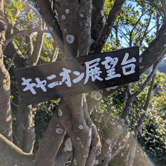 白狐山に登っていく途中に