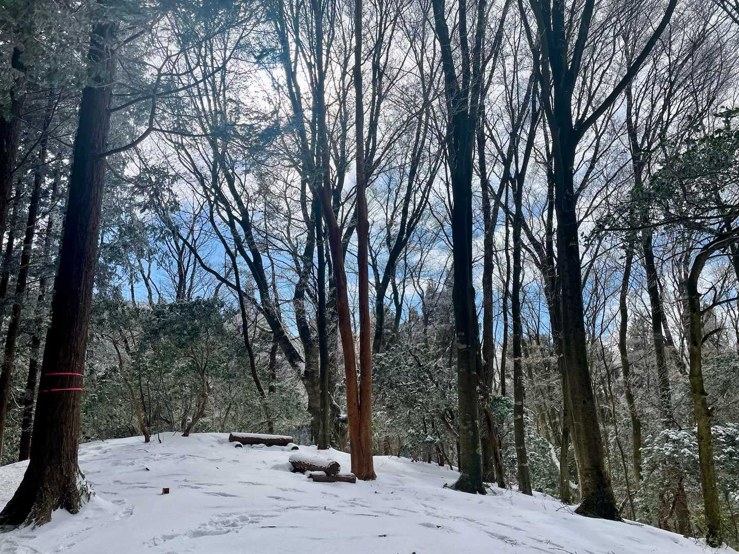 三峰山登山ルート分岐登山口-三畝峠-三峰山-八丁平 周回コースの写真