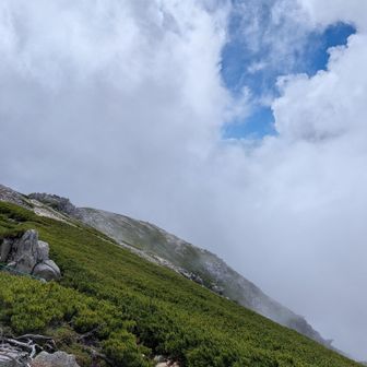 こっちの方が空中散歩感