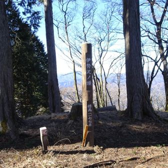 伊勢沢ノ頭山頂