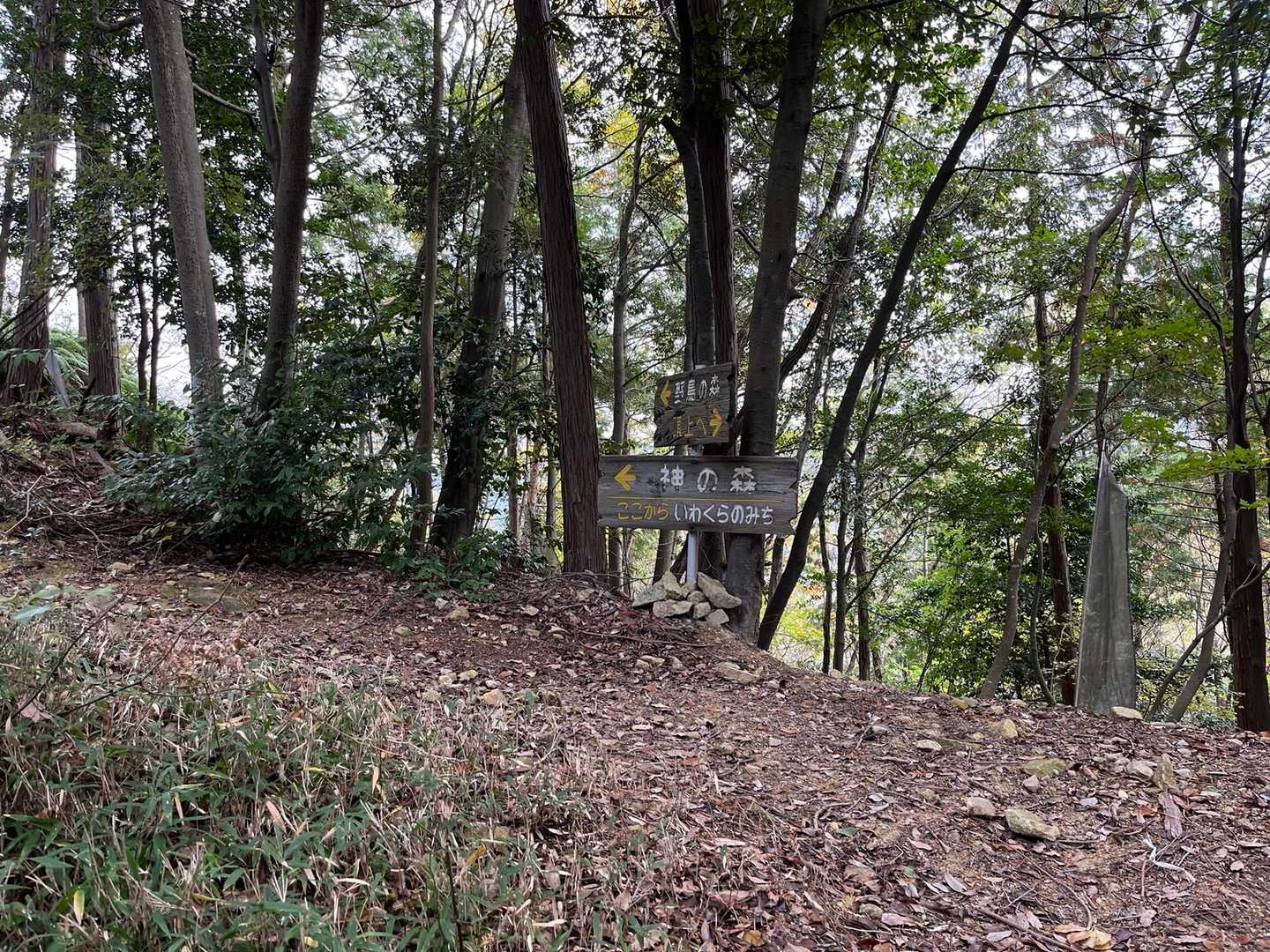 稜線に出ました。右の山頂を目指します。