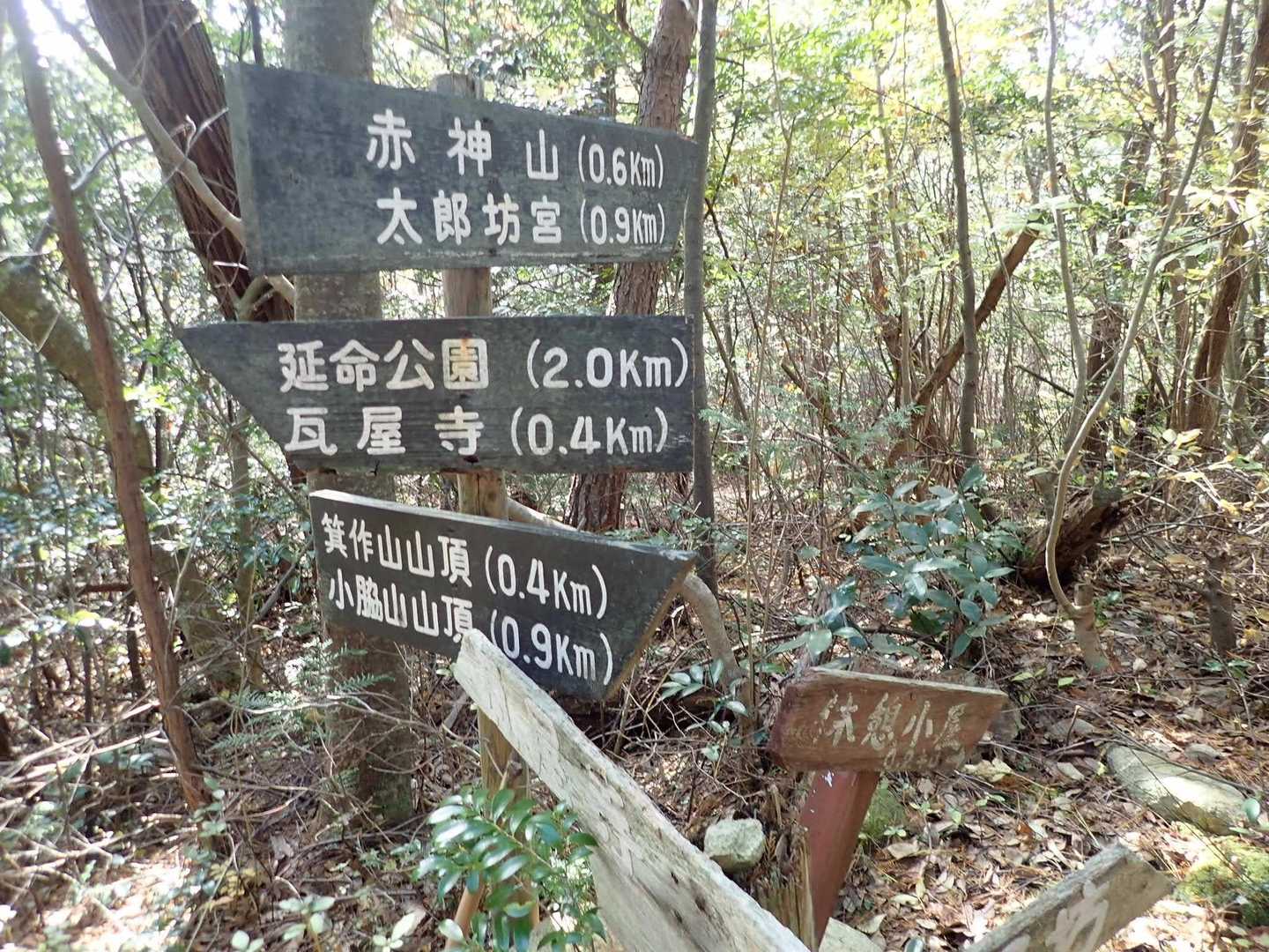 さっきの分岐まで戻ってきました。ここから箕作山、そして小脇山へ。