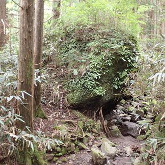 金太郎がお手玉にして遊んだという石、というか大岩です