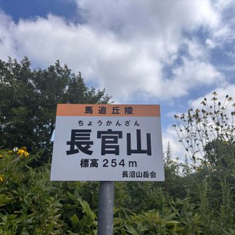 雲が多いな　