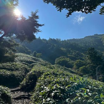 陽射しは強いが時折吹く風は涼しかった。